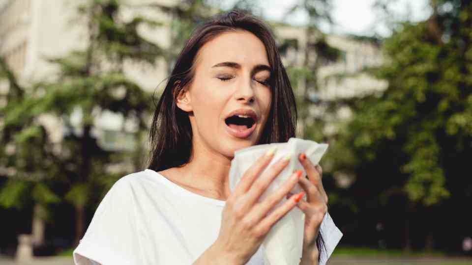 Hay Fever: Your Guide to Relief